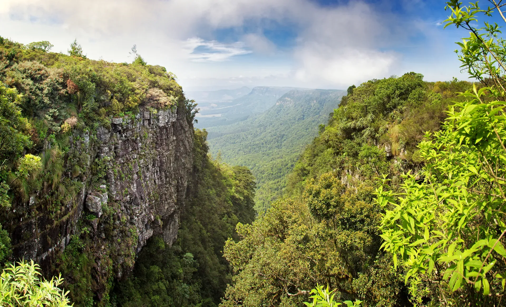 Stunning views of God’s Window Canyon