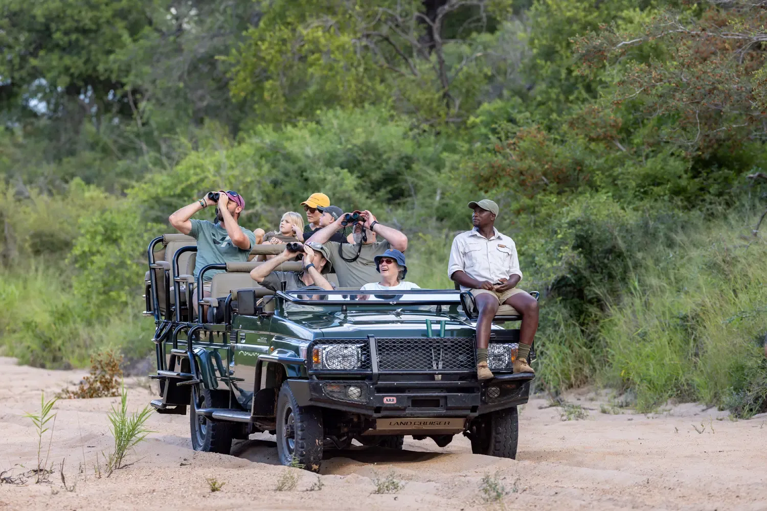 Safari drive