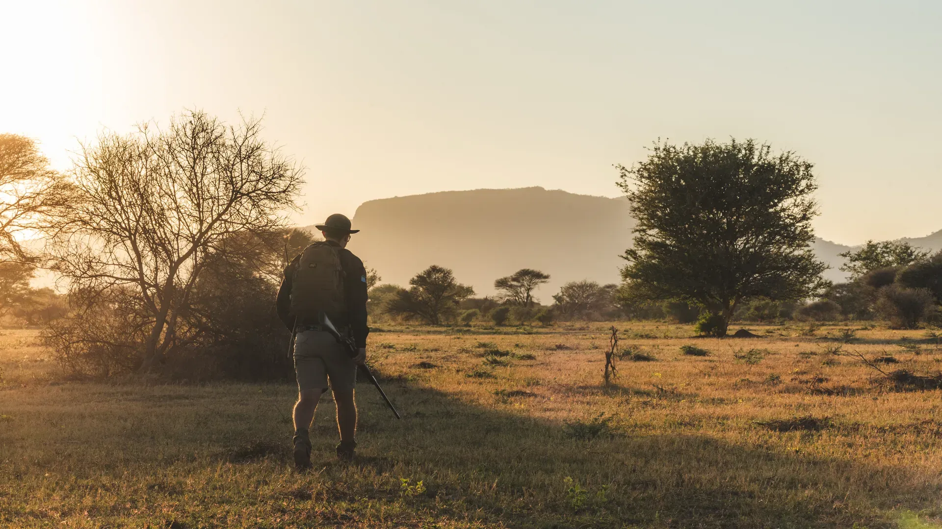 Marataba – Ranger walking into the distance at sunset.