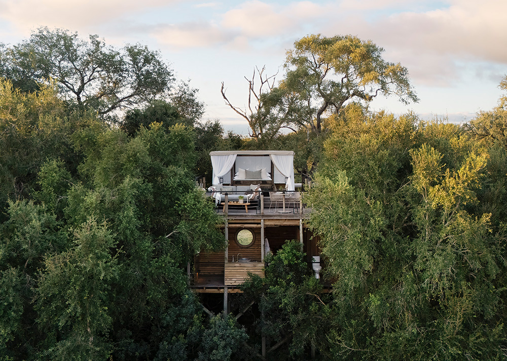 Lion Sands Tinyeleti Treehouse_Aerial View_03
