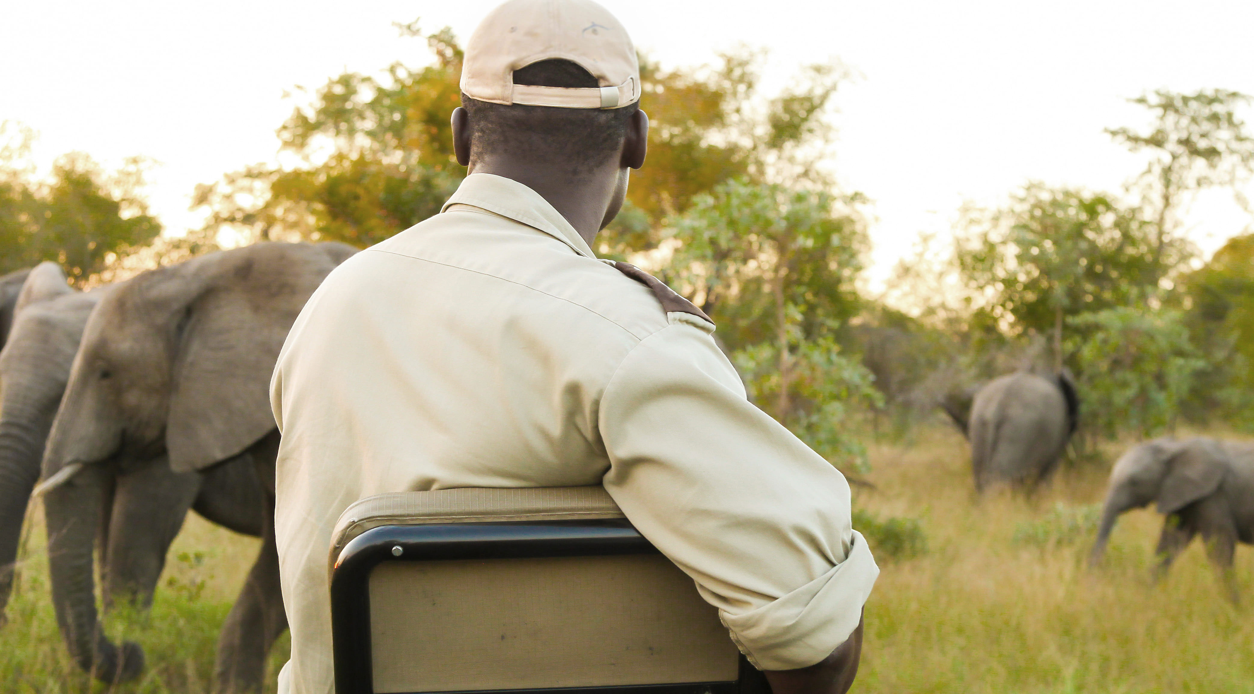 back-view-african-american-male-watching-elephants-safari