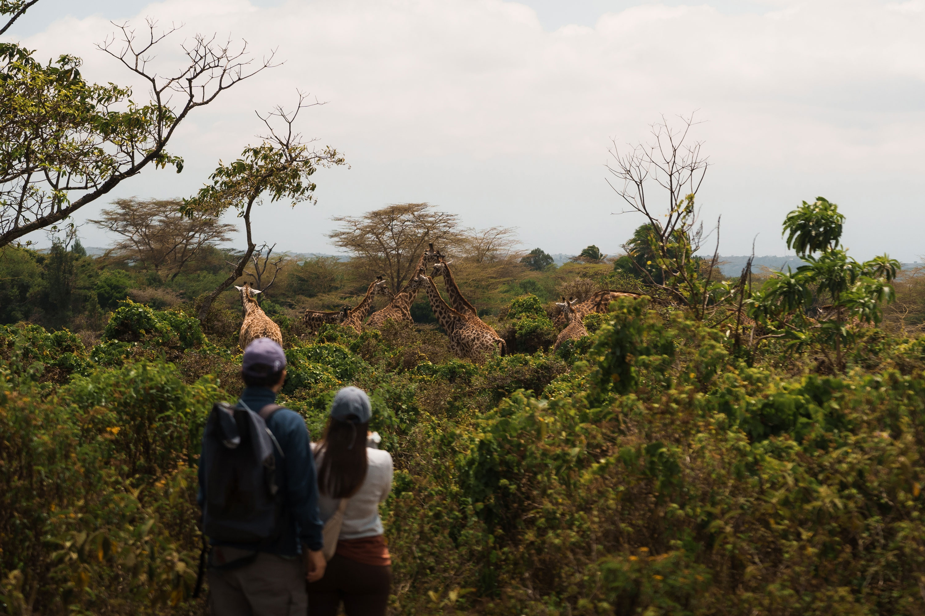 Conservation and Cultural Experiences
