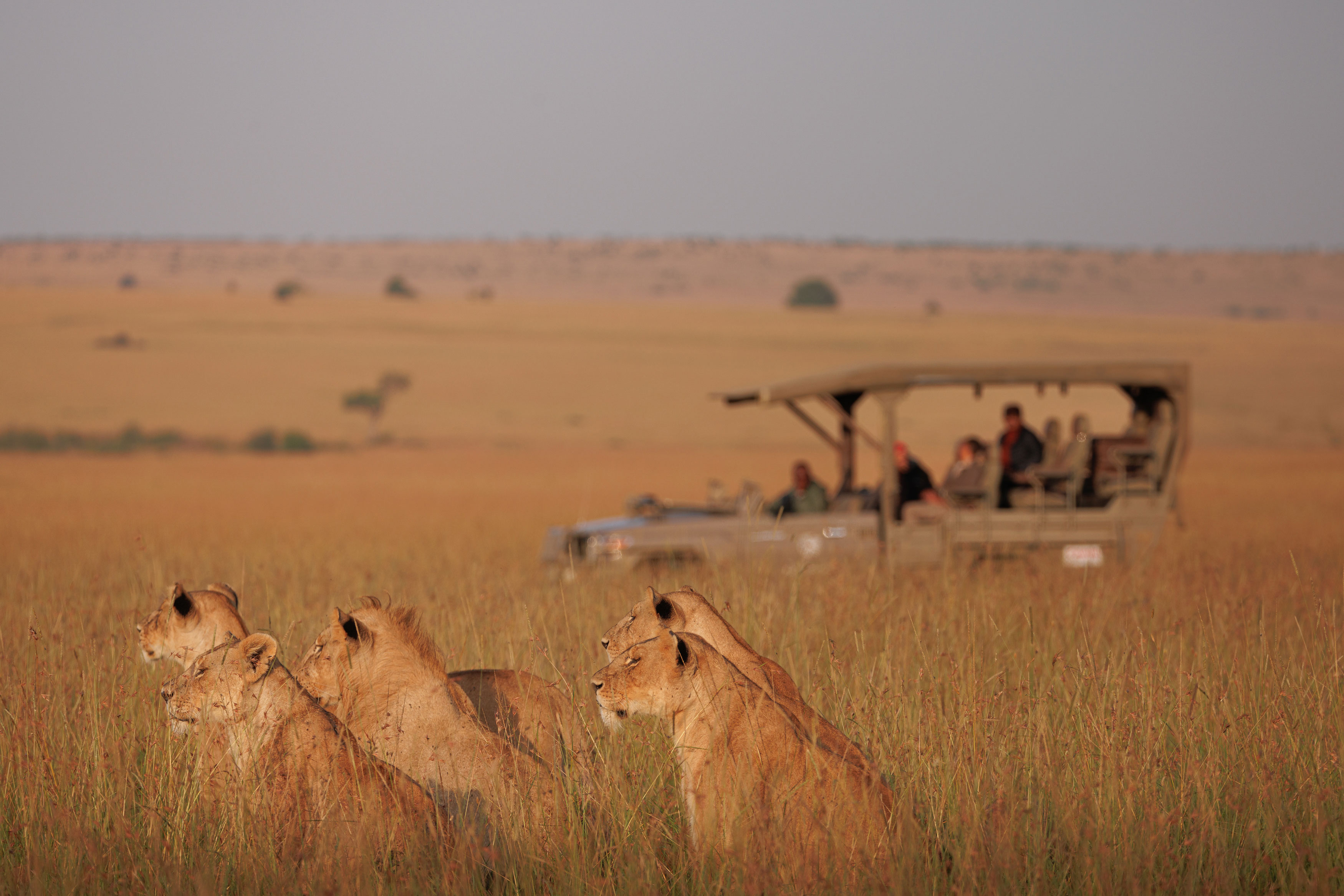 Big Five Encounters