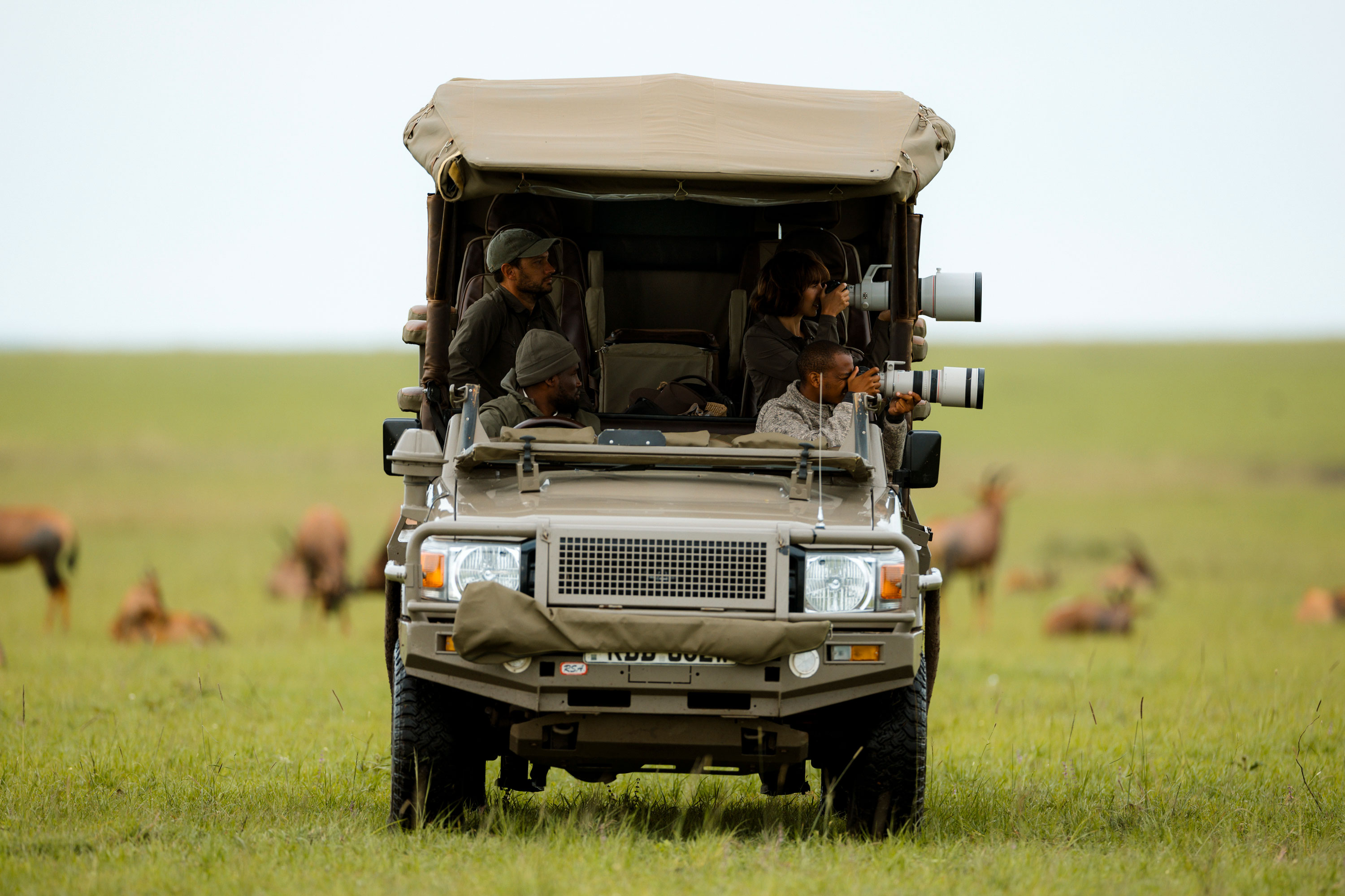 Migration Landscapes and Optional Experiences