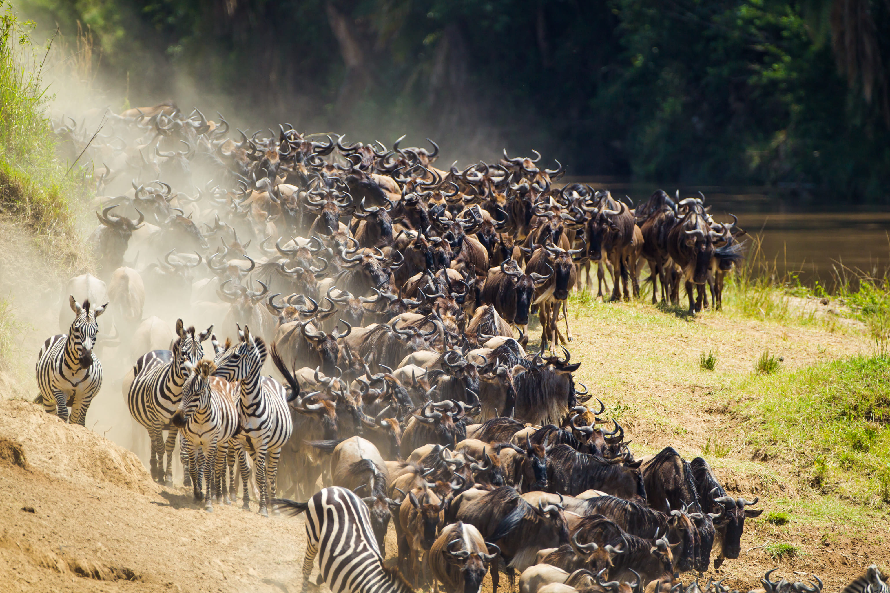 Kenya-Migration-July-iStock