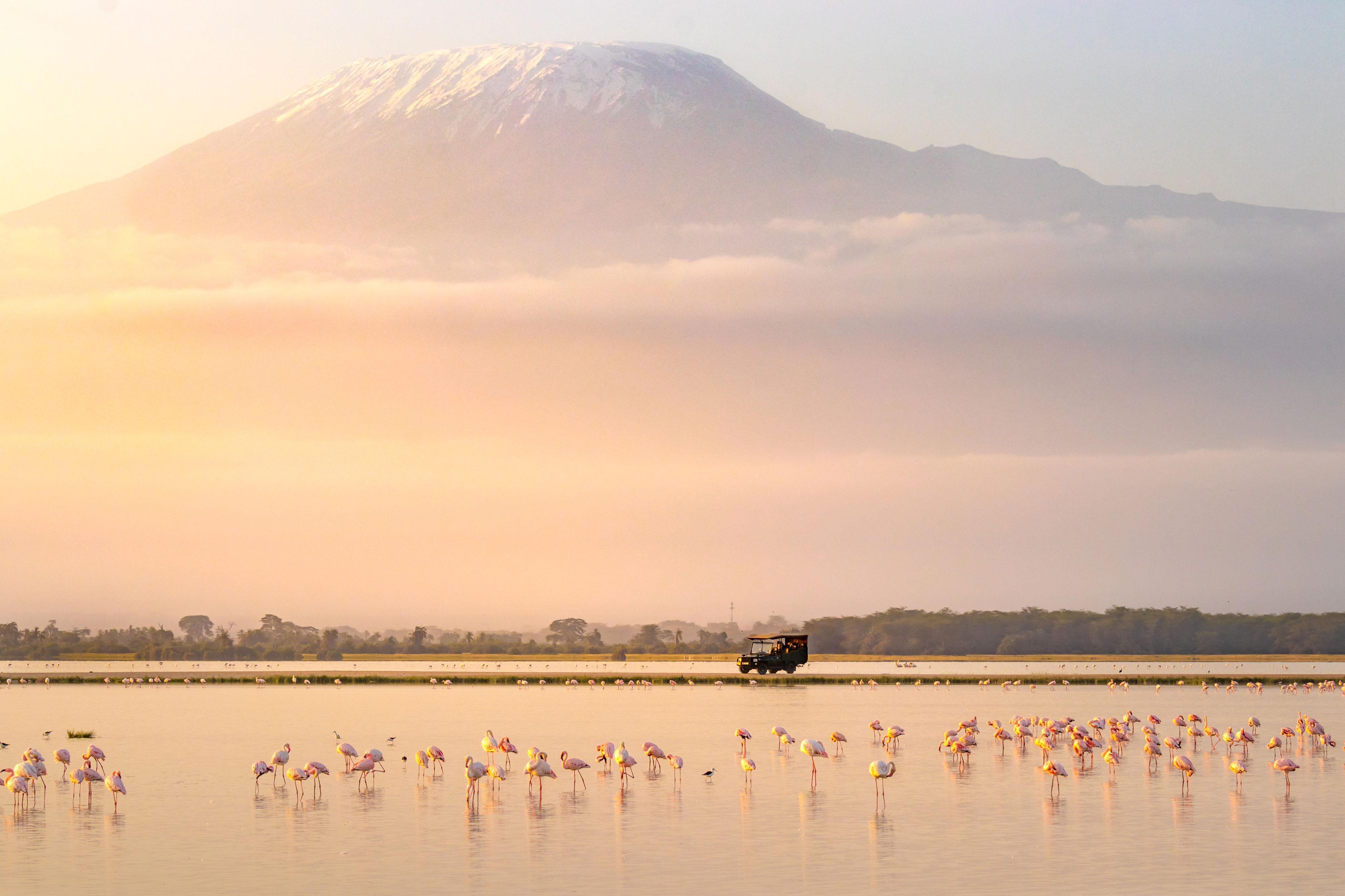 Kenya-shutterstock