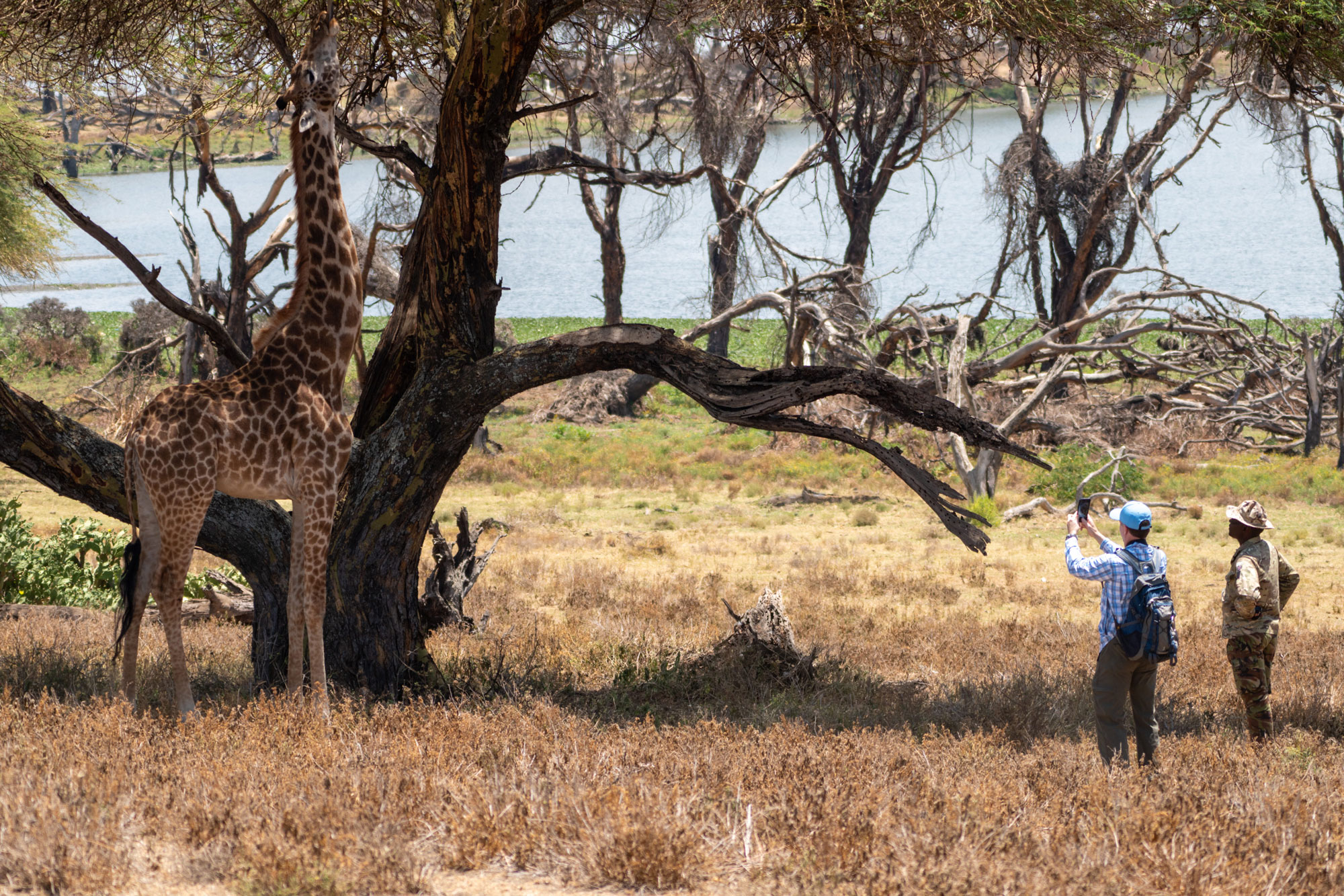 Kenya-Walking-Safari-iStock