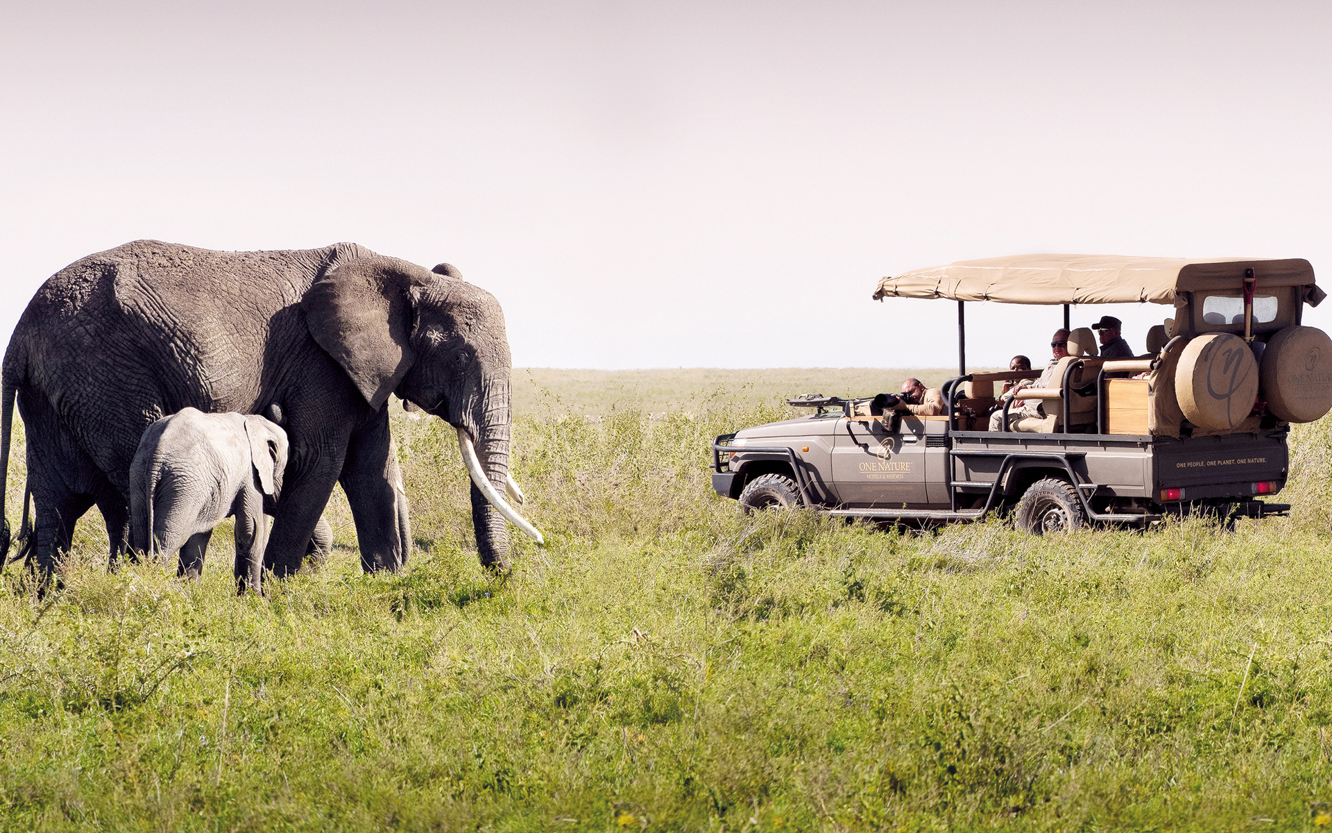 Serengeti – Migration Landscapes and Predators