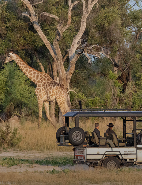 Safari Kenya