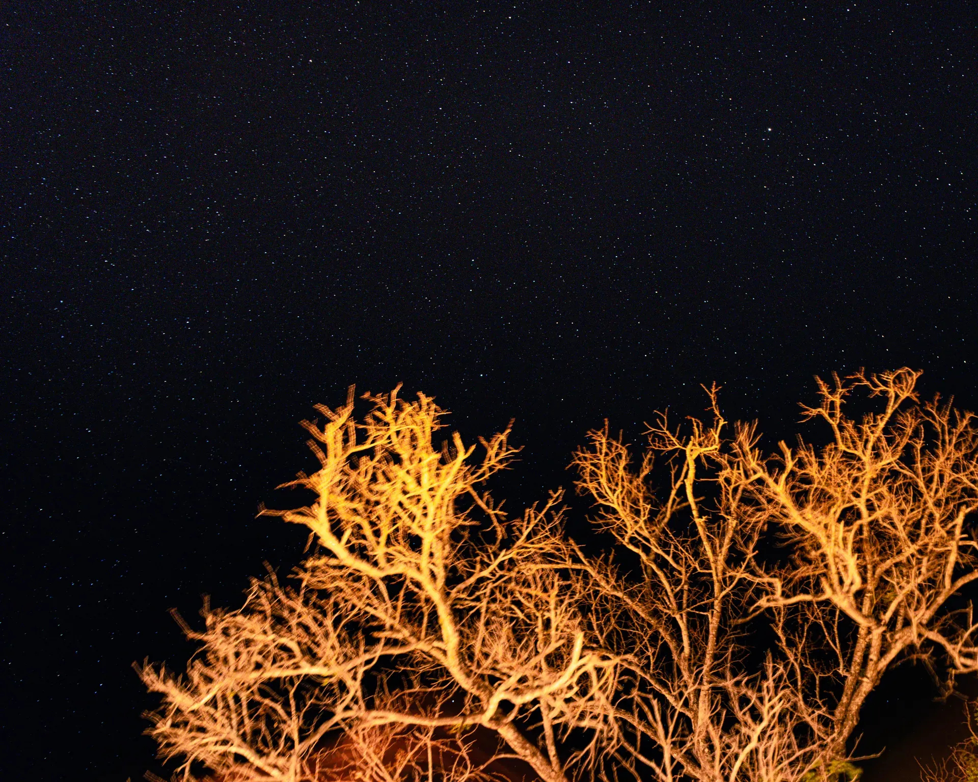 Foreground image