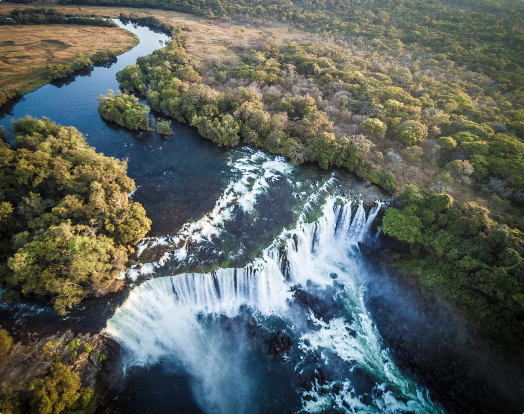 Farewell to Africa