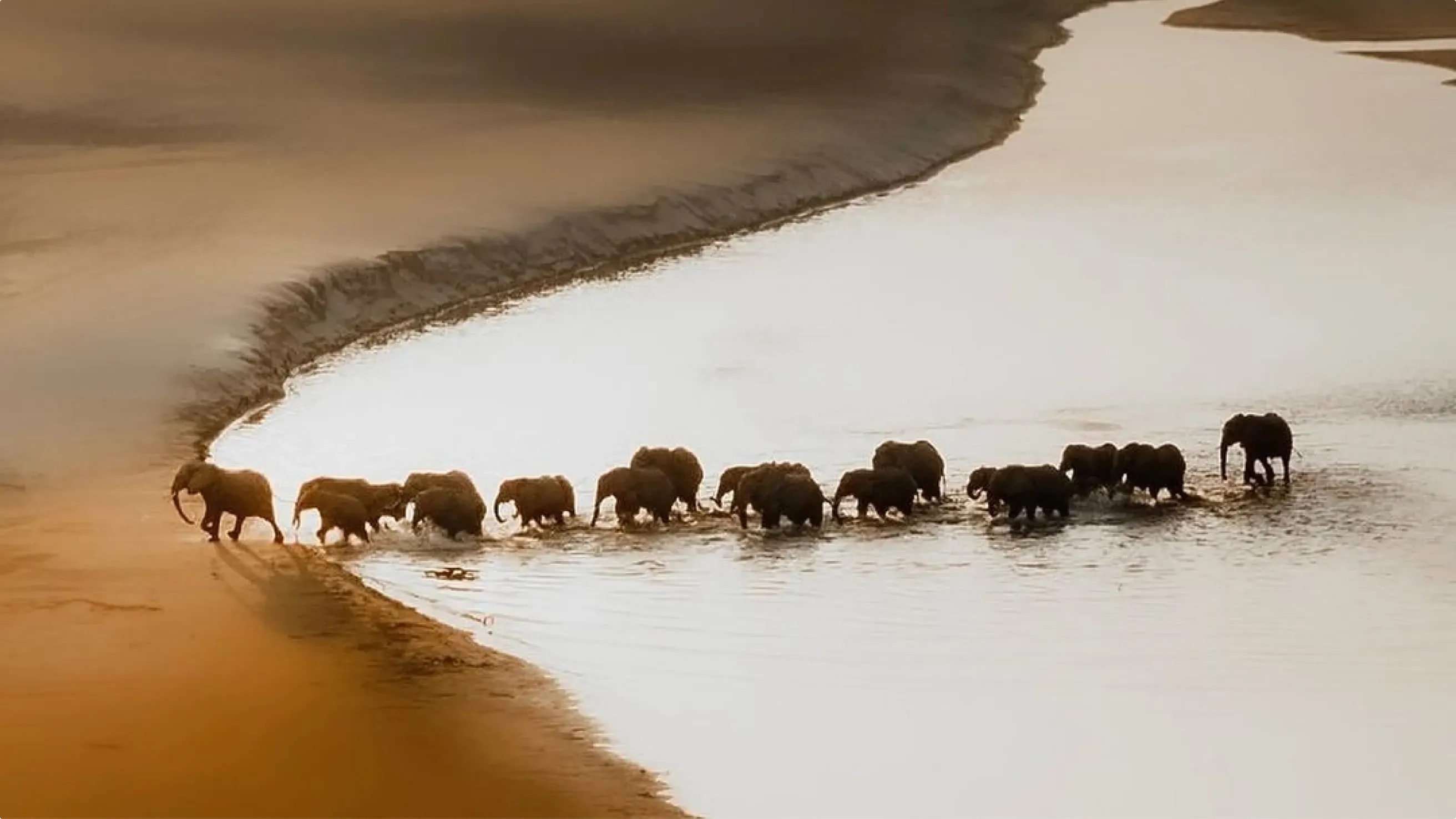 zambia