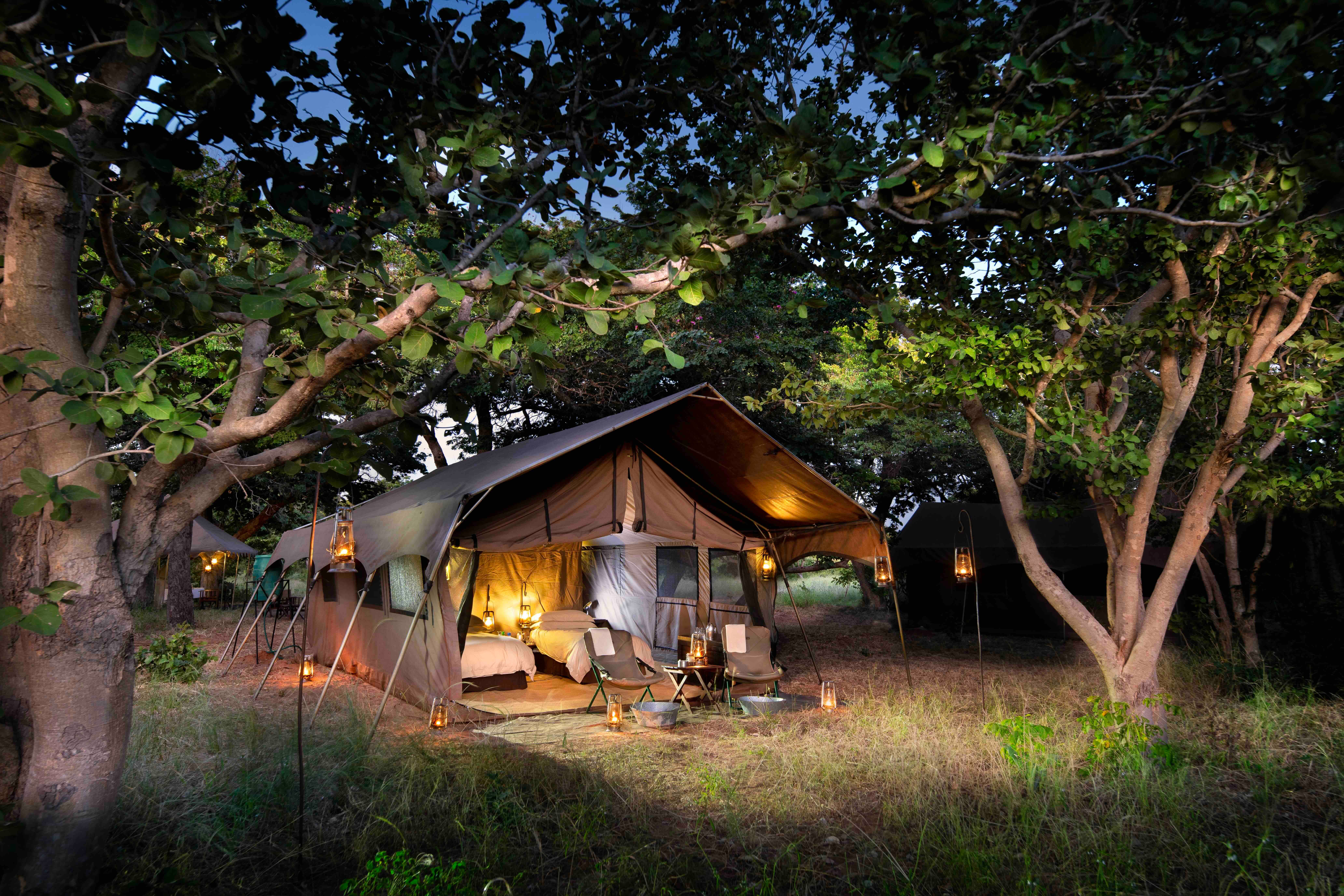 Transfer to Chobe Under Canvas