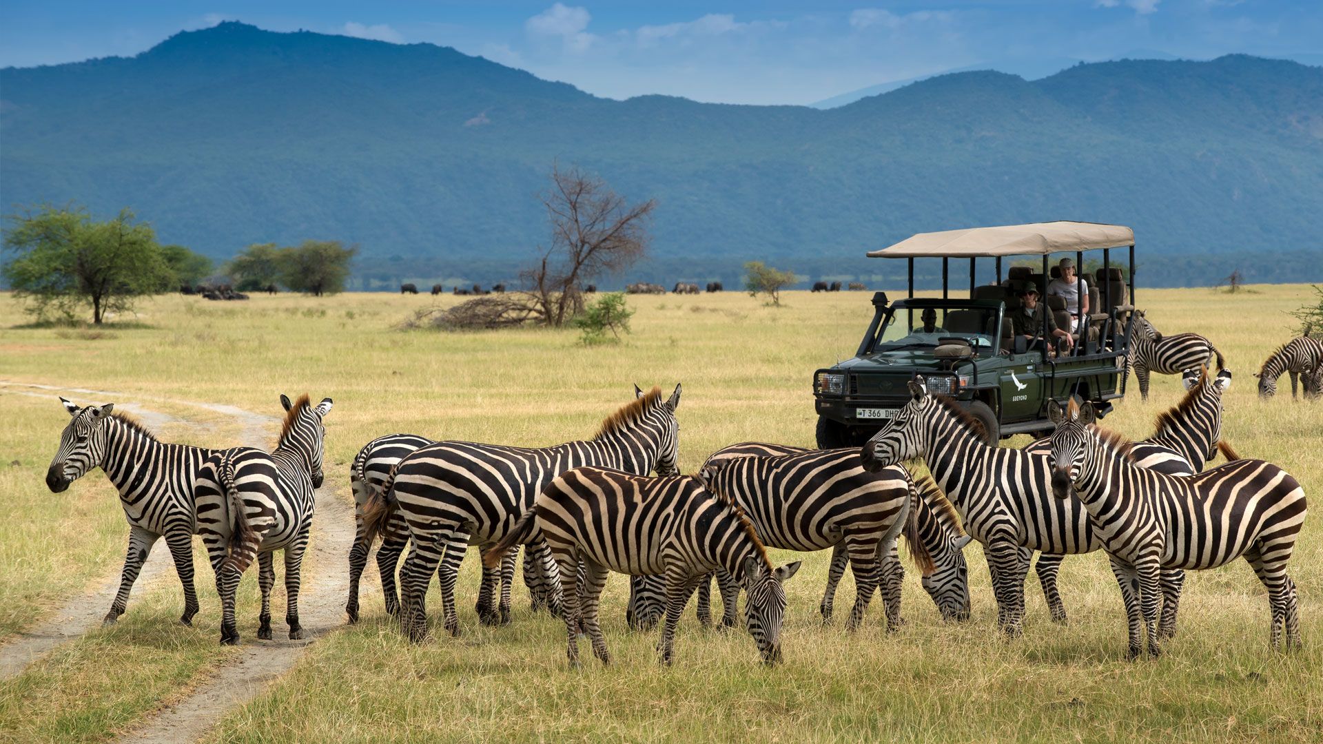Final Chobe Adventures