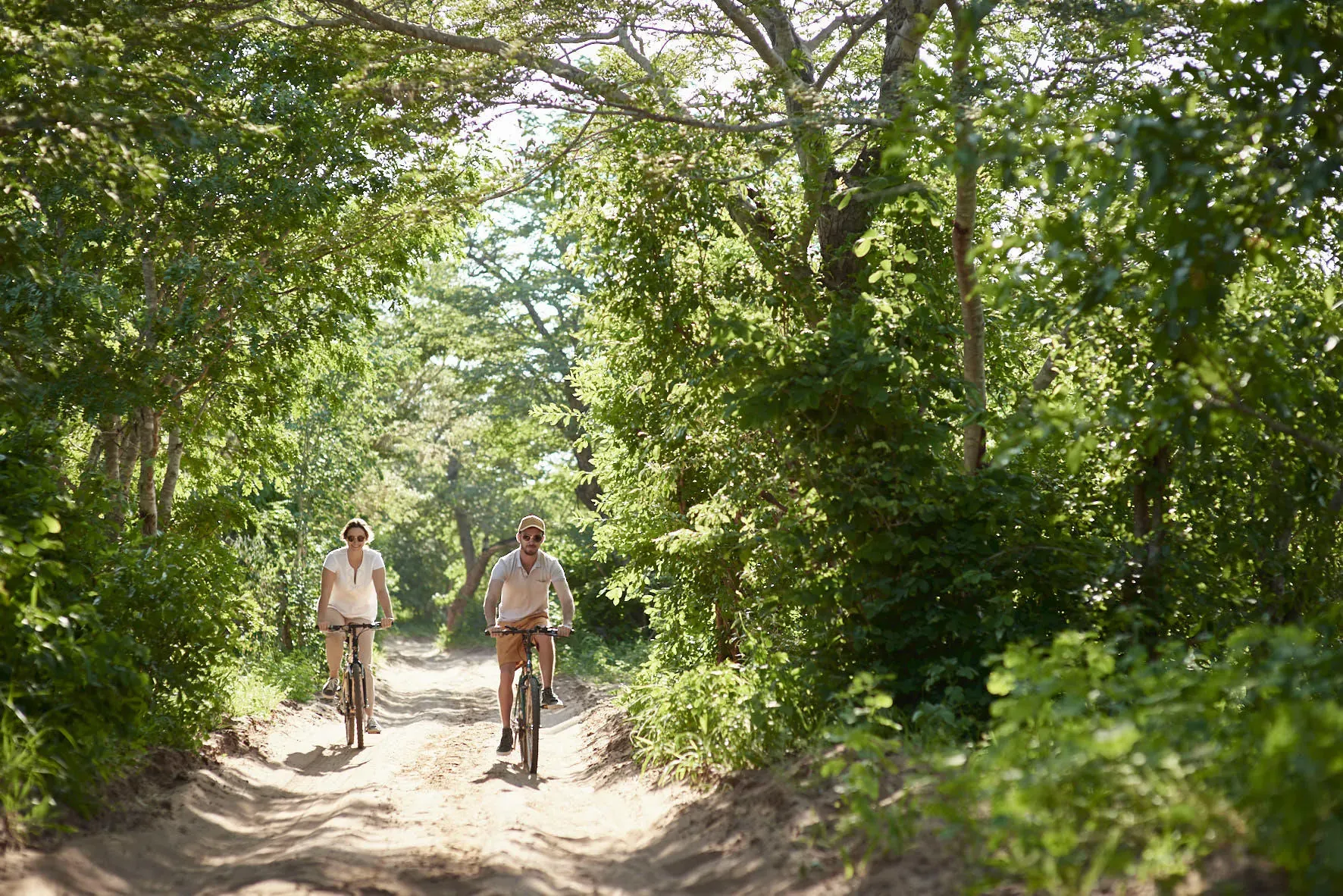 Guided walking safari through a lush forest with people exploring nature on foot